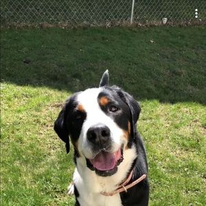 Meet your Posher, Claire